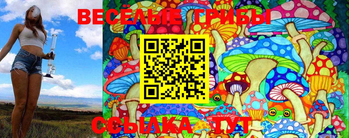 Псилоцибиновые грибы Psilocybe Менделеевск